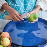 مینی برس دلفین مهسان